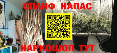 стафф Можга